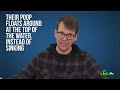7 Ways That Poop Can Save Lives