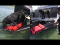 Dog Boat Ramp - Difficult to Build But Cheap - Easy In And Out for the Finn Dog