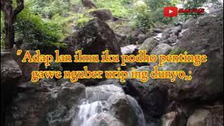 kumpulan kata kata bijak bahasa jawa //part 2