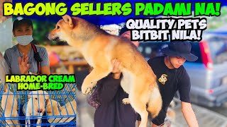 QUALITY PERO MURANG MGA PETS SA BOCAUE PET MARKET! by Tita A's Vlog 1,777 views 2 weeks ago 20 minutes