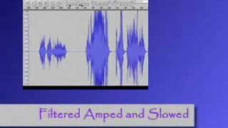 EVP Voice of the Dead: A Ghost Talking to Another Ghost