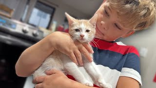 Naming Our New Baby Kitten!!