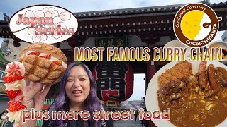 MOST FAMOUS JAPANESE CURRY (+ more street food) | Asakusa & Akihabara [Japan Ep. 4]
