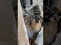 Chuhe 🐀🐀 Ne Kati Wiring. #shortvideo #shorts #shotrs #kausargaragework