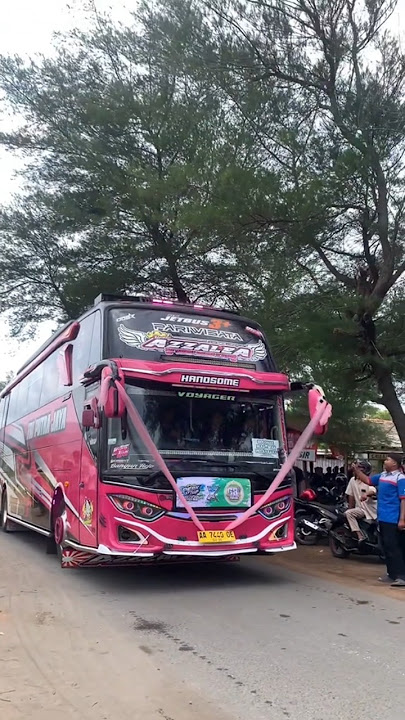 Story'WA bus TRI PUTRA JAYA AZZALEA mboiss 30 detik