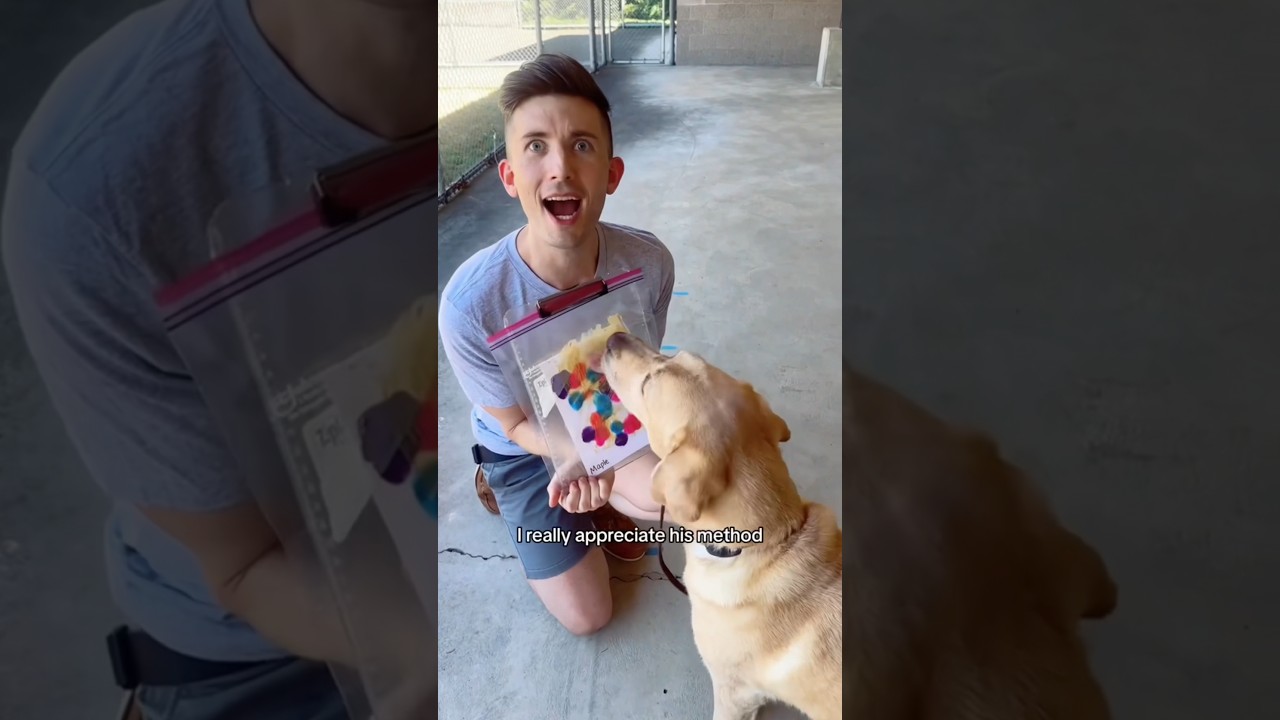 Dog paints beautiful works of art with his tongue 