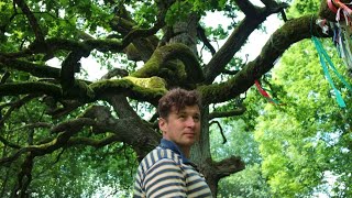 Нашел ОГРОМНЫЙ дуб, которому 600 лет - 24 часа в лесу  Беларусь