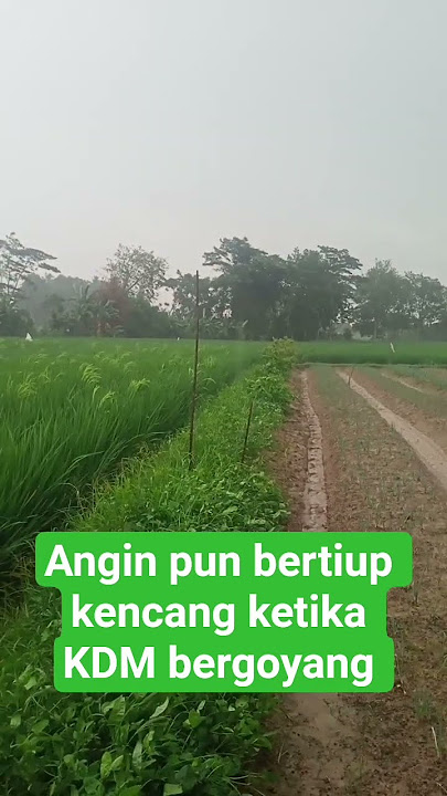 Dedi Mulyadi joget viral