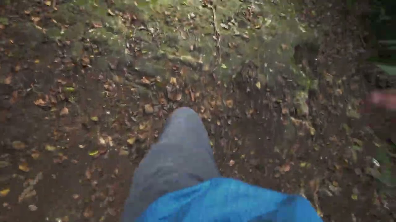 Puerto Hermina, Isabella PR, November 2025