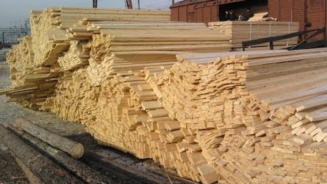 Update Die größte Lüge der Geschichte - Holz.Doku