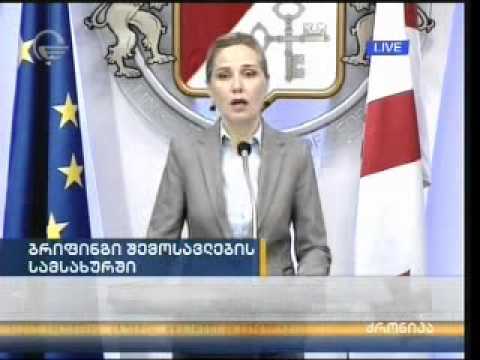 შემოსავლების სამსახურის ბრიფინგი 04.11.13