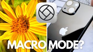 iPhone 13 mini has macro mode! screenshot 3