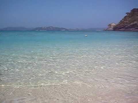 �g�J�V�N�r�[�`�̔g�ł���