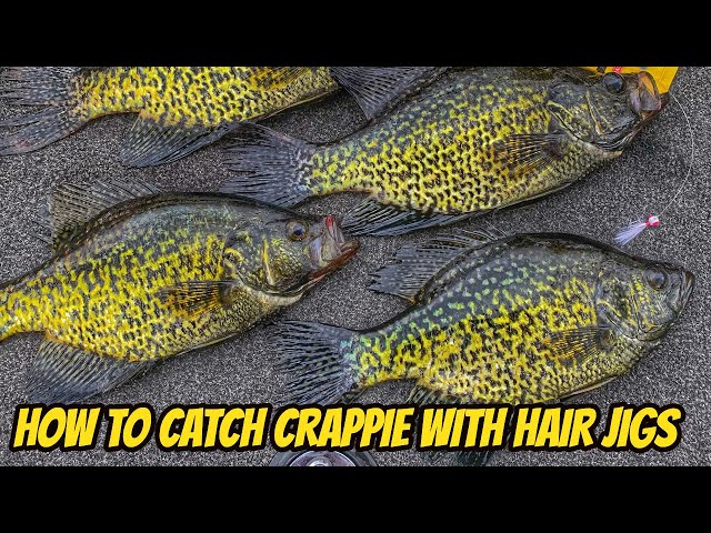 HOW TO CATCH CRAPPIE WITH HAIR JIGS 