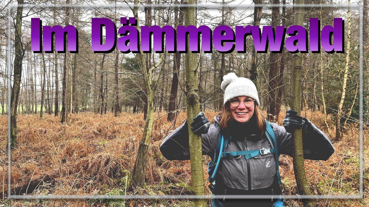Der Dämmerwald