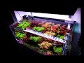 Weekaqua  p series p900 pro  full spectrum aquarium plants light