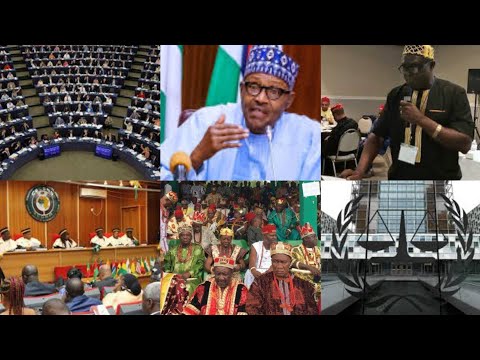 Igbo Elite Groups Come Together, [email protected] President Buhari To ICC, EU, Ecowas, Isreal, Uk, Opens Portal