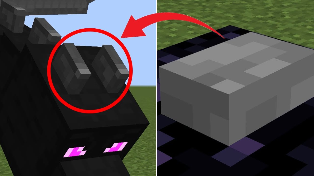 things you will never unsee in Minecraft - YouTube