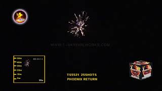 PHOENIX RETURN TS5521