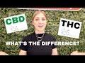 Cbd vs thc  do you know the difference