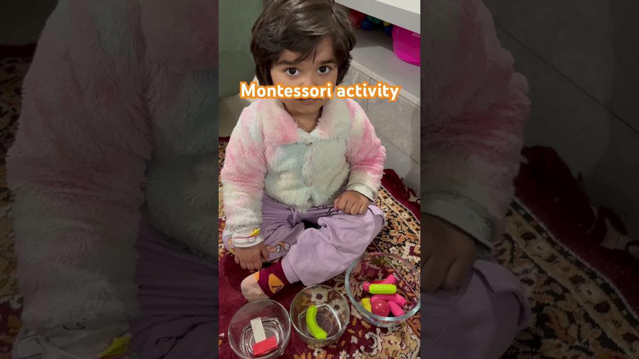 “Sorting helps children compare, categorize, and build early math foundations.