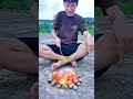 Survival Skills #survival #camping #forest #outdoor