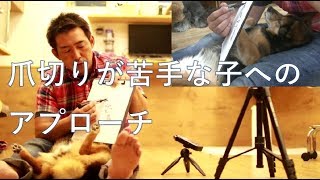 Xxxii Video Wwocm - ãƒšãƒƒãƒˆãƒ›ãƒ†ãƒ« ãƒ‘ãƒ”ãƒ¼ãƒ‘ãƒ¼ãƒ†ã‚£ çŠ¬ã®ä¿è‚²åœ’(dog nursery)ï½œDOG DIAMONDï½œãƒ‰ãƒƒã‚°ãƒ€ã‚¤ãƒ¤ãƒ¢ãƒ³ãƒ‰ :: ç„¡éº»é…”æ­¯çŸ³å–ã‚Š