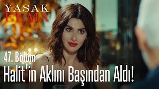 Şahika, Halit'in aklını başından aldı! - Yasak Elma 47. Bölüm