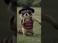 #animal #cuteanimals #funnyanimals Dancing  cutest Goes Viral 😍🔥##viral dance#####viral short##