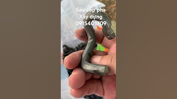 Sâu cốp pha xây dựng #coppha #shorts