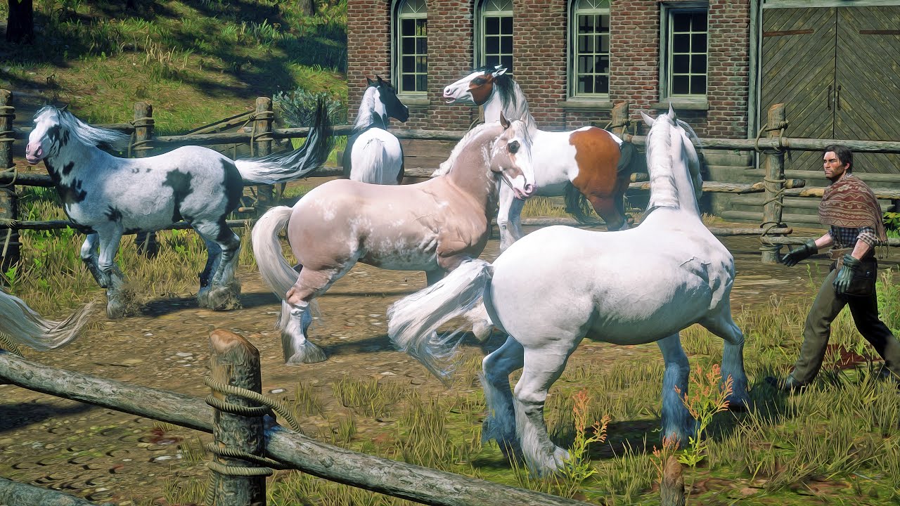 Low Honor John Steals Every Beautiful Gypsy Cob Horse at Doverhill | RDR2 Wild Horse Adventure
