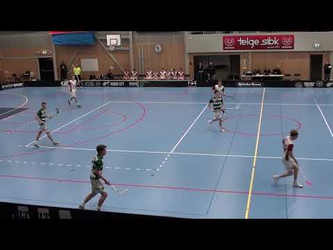 Telge-Ledberg JAS 26.1.2020