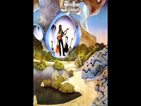 Steve Howe - Beginnings