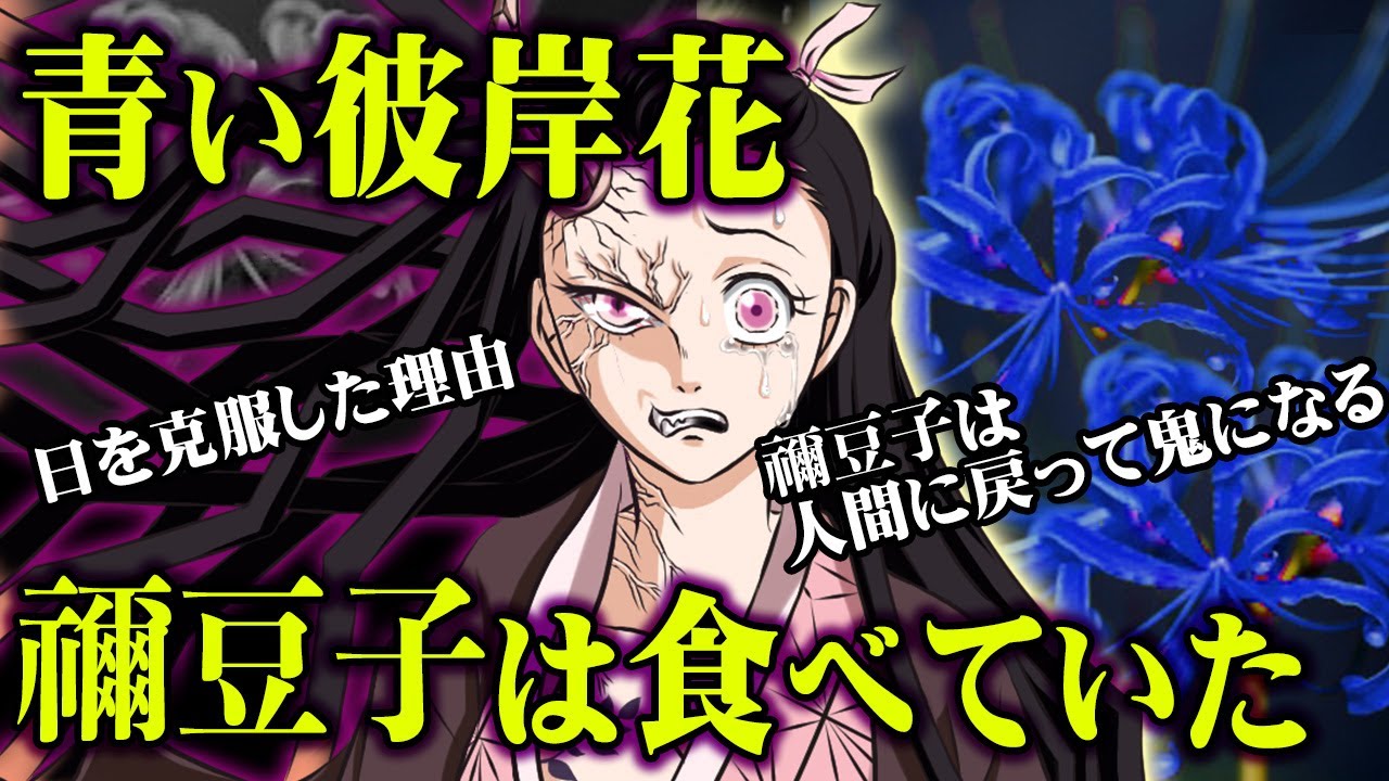 と 青い は 彼岸花 鬼滅の刃 青い彼岸花の正体とは？最終回で伏線回収されたかネタバレありで解説