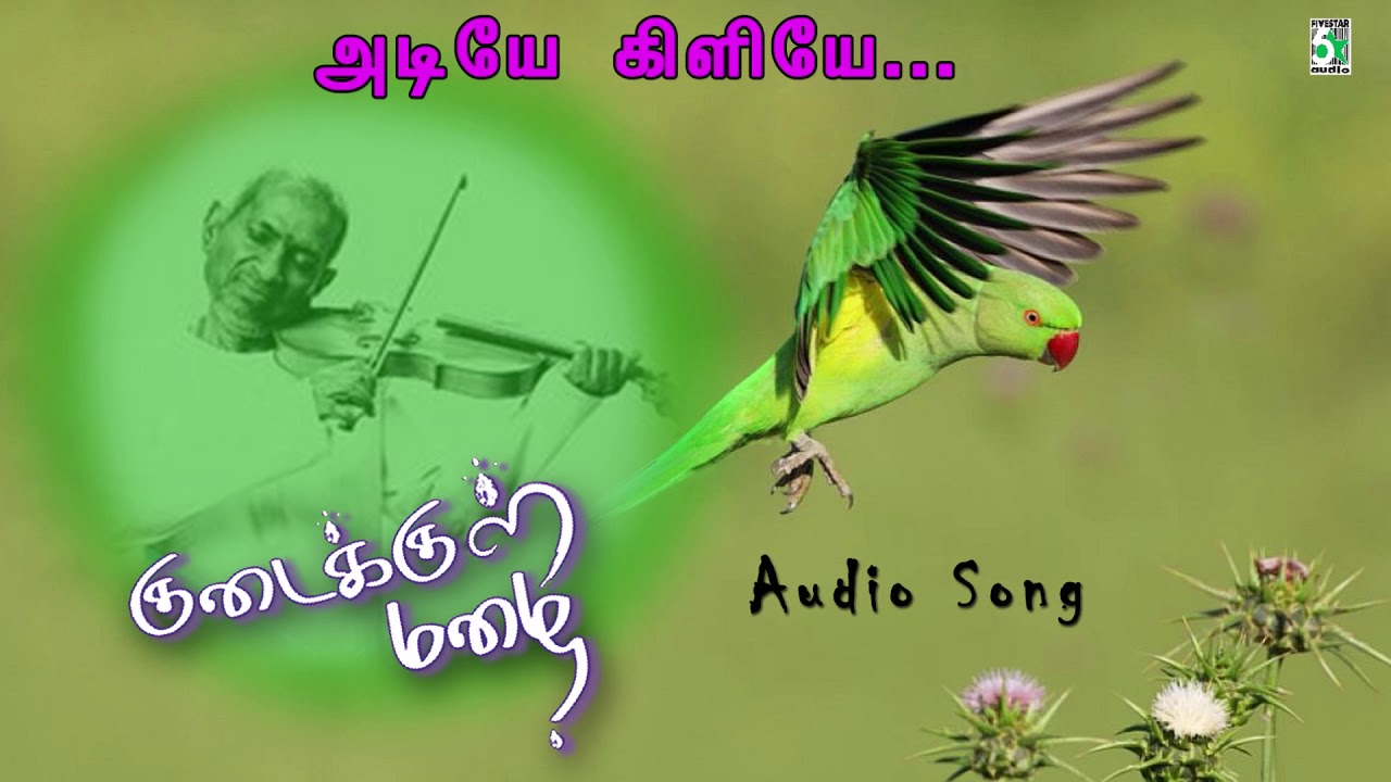 Adiyae Killiya Song  Kudaikkhul Mazhai  Ilayaraja  R Parthiban