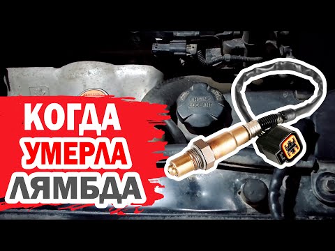 Когда умирает лямбда?