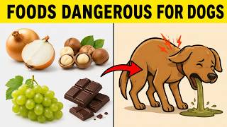 22 Common Foods That Will Kill Your Dog (Vet Warning)