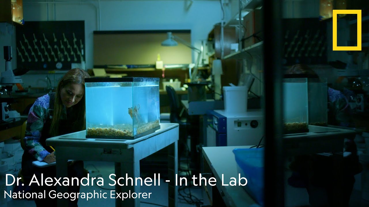 Dr. Alexandra Schnell, National Geographic Explorer