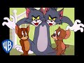 Tom & Jerry in italiano | Amici per la vita | WB Kids