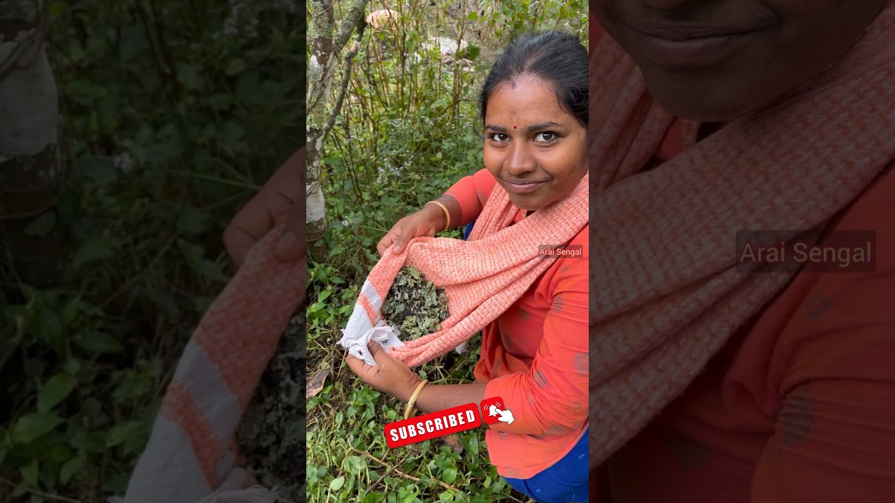 2000Rupees Per Kg of Stone Flower ஒரு கிலோ கல்பாசி 2000 ரூபாய்யா😳kalpasi 