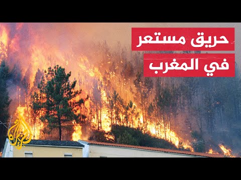 بسبب موجة حر.. حرائق في غابة بمحافظة العرائش في المغرب