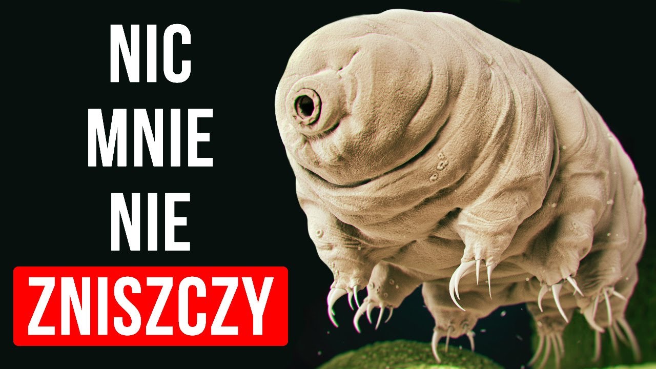 Długowieczne oraz nieśmiertelne stworzenia