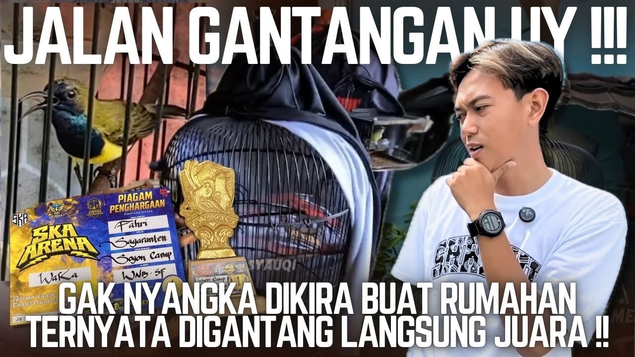 JACKPOT LAGI AJA !! SOGON GACOR DIRUMAH DIGANTANGIN JUARA DAN KELUAR MATERI.