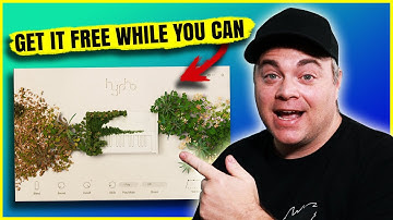 Native Instruments Hypha - Acoustic Electric Synth