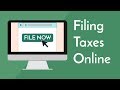 Online Tax Filing Benefits Quiz