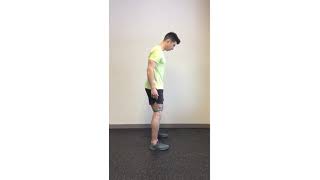Resistance Band Ski Squats