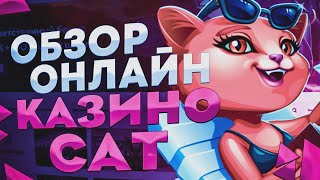 Cat казино подробный обзор и взгляд на официальный сайт