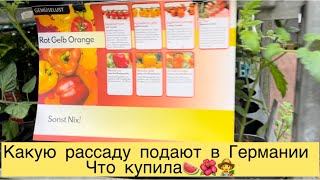 КАКУЮ РАССАДУ ПРОДАЮТ В ГЕРМАНИИ 👩‍🌾ЧТО КУПИЛА🍉🌺👩‍🌾