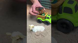 Find the missing sheep with Cody and JJ! #Cartoonsforkids #AnimalsforKids #LearnAnimals