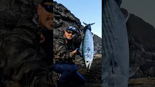 FVF® - Fuerteventura Fishing. BIG ONE #fuerteventura #fishing #shorts #video #shortsfeed